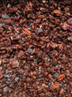 chocolade-zeezout granola